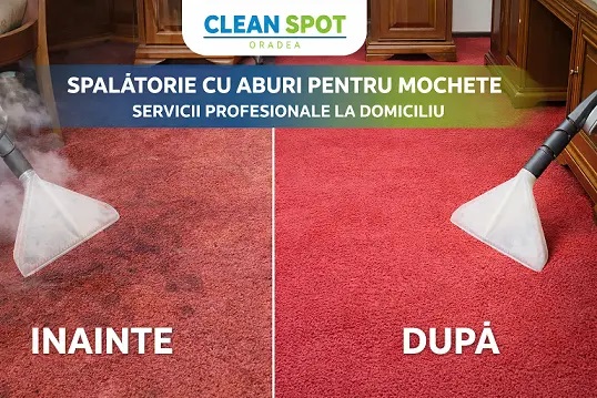 Curatare Canapele Oradea Bihor CleanSpot – Igienizare Profesională Tapiterie la Domiciliu