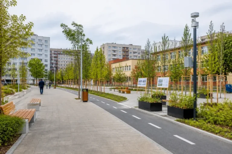 Storia lansează un program de 150.000 de euro pentru cartierele din București